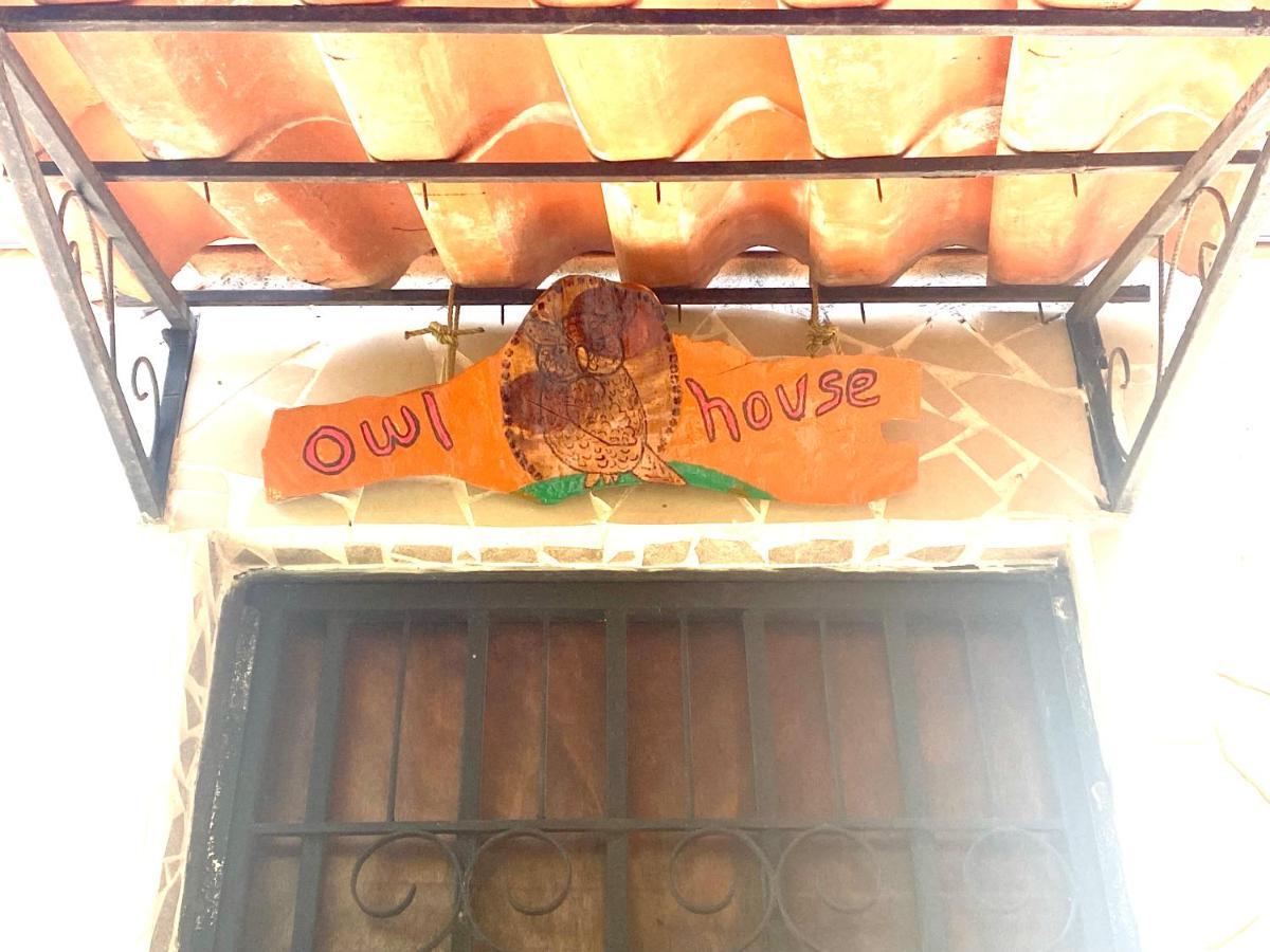 Owl House Hotel Piedades Exterior photo