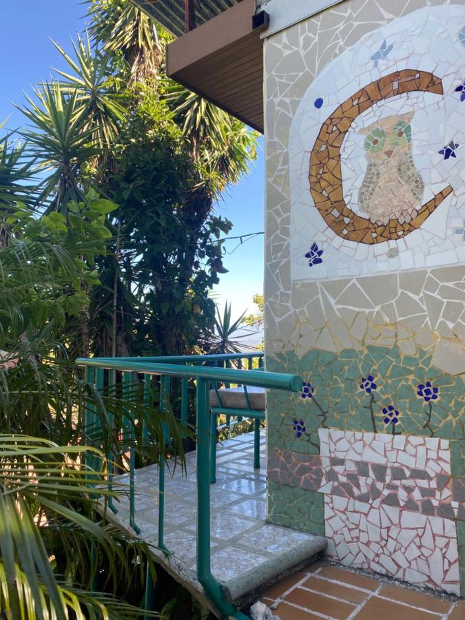 Owl House Hotel Piedades Exterior photo